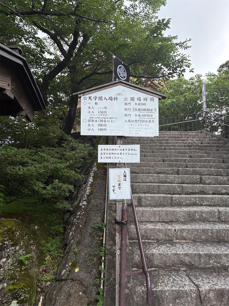 f:id:hide-n64:20250705062332j:image