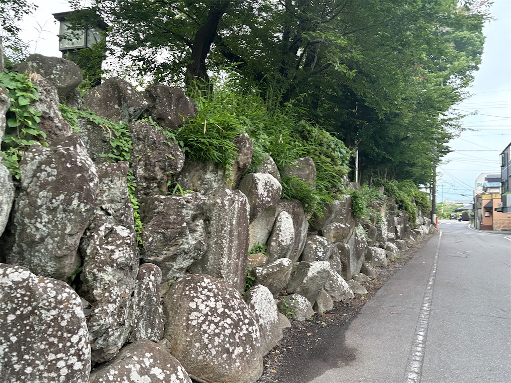 f:id:hide-n64:20250705062400j:image
