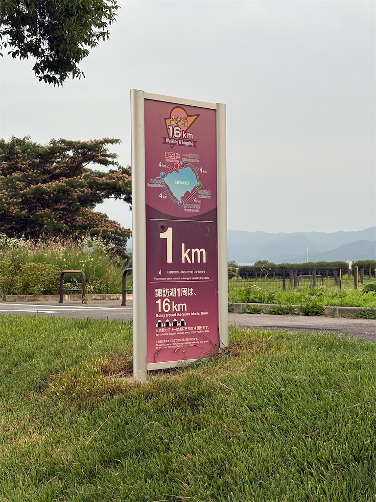 f:id:hide-n64:20250707122416j:image