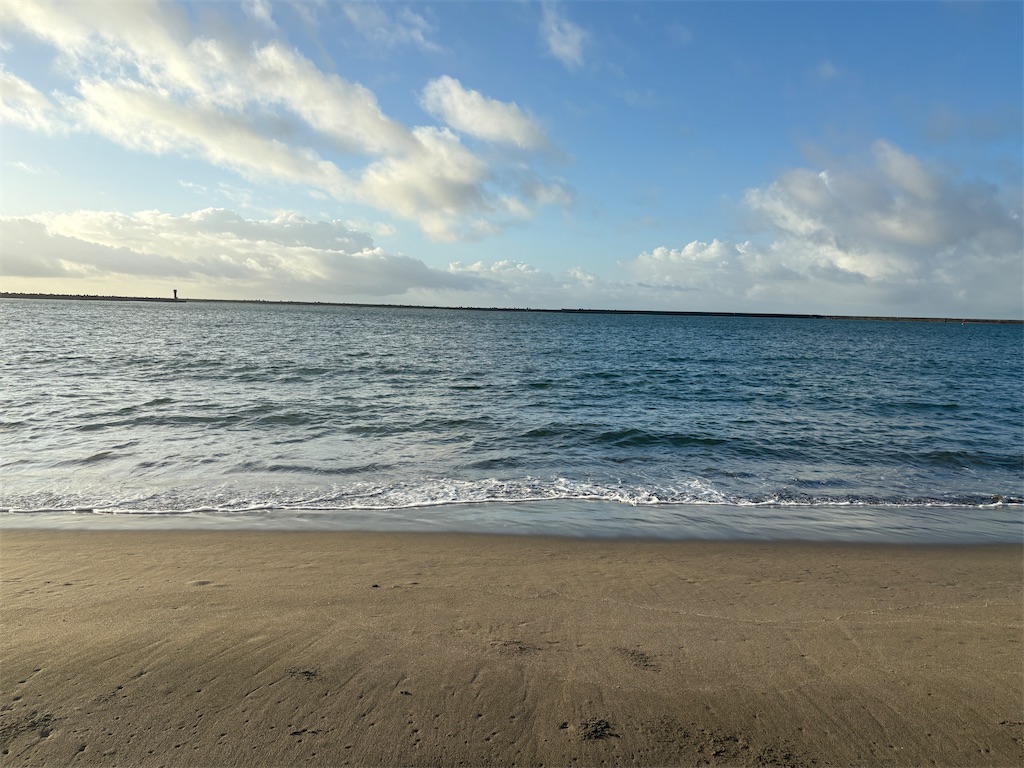 f:id:hide-n64:20250729093643j:image f:id:hide-n64:20250729093643j:image