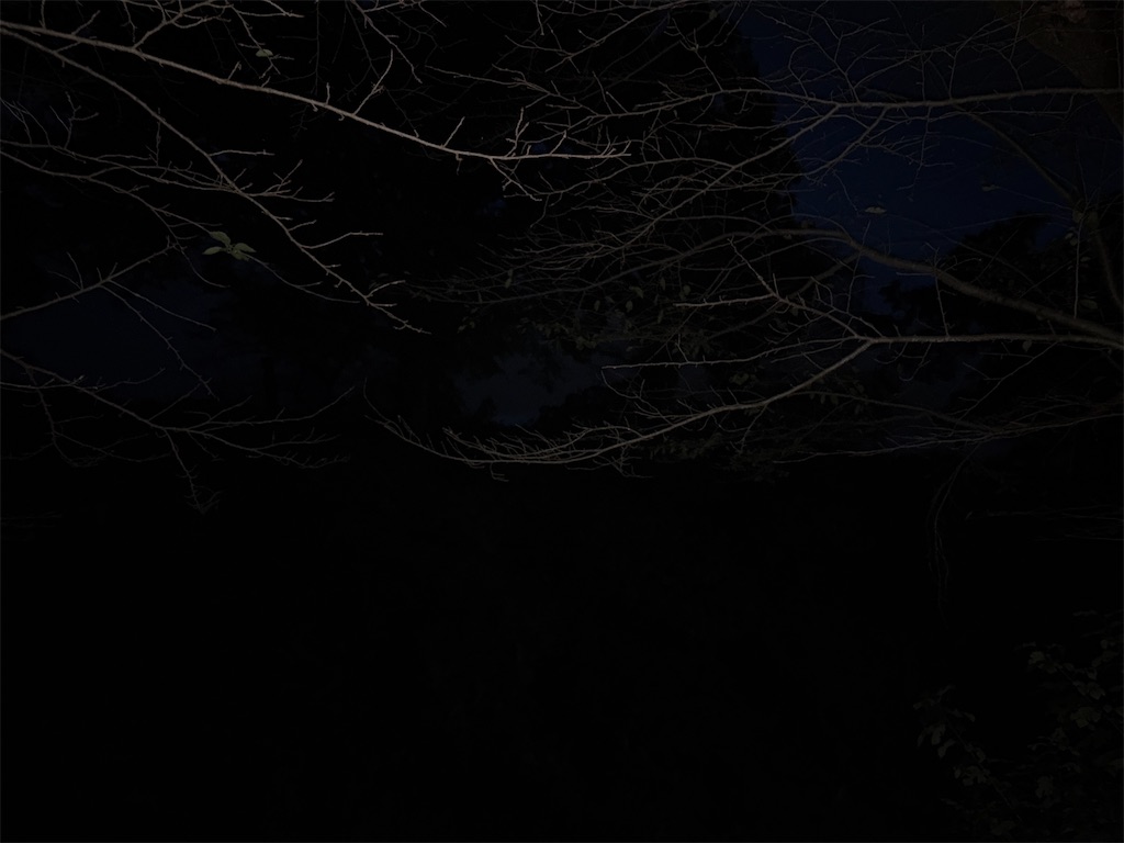 f:id:hide-n64:20251019064728j:image