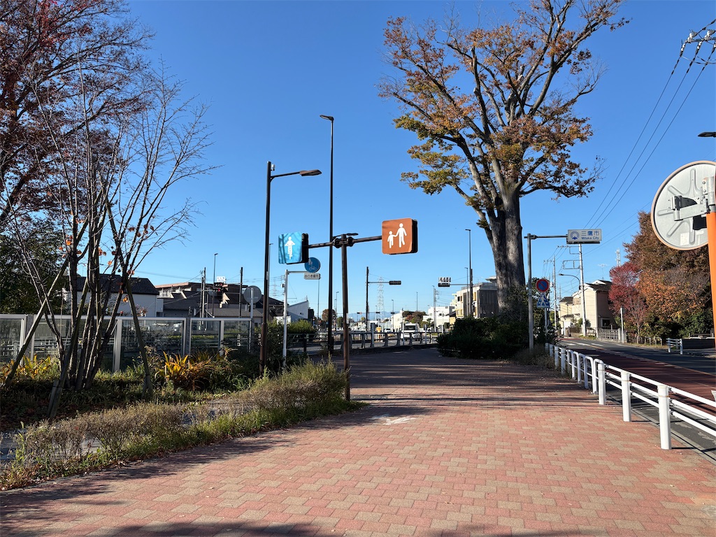 f:id:hide-n64:20251122154552j:image f:id:hide-n64:20251122154552j:image