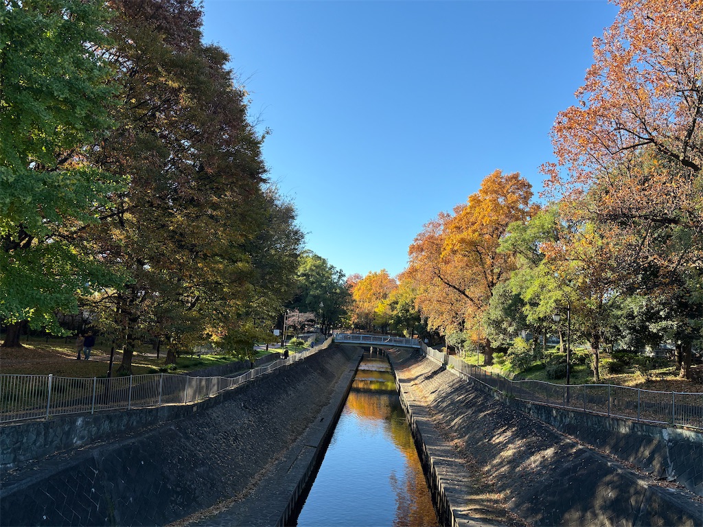 f:id:hide-n64:20251122154625j:image f:id:hide-n64:20251122154625j:image