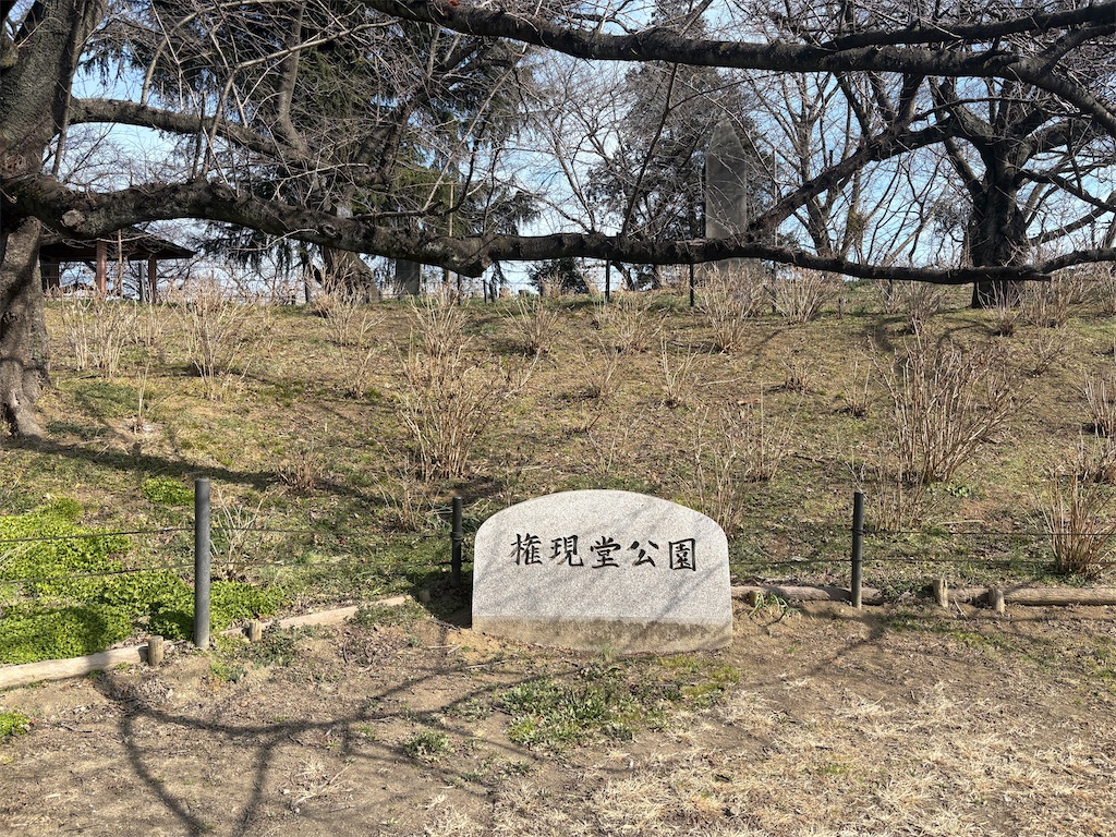 f:id:hide-n64:20260214143250j:image