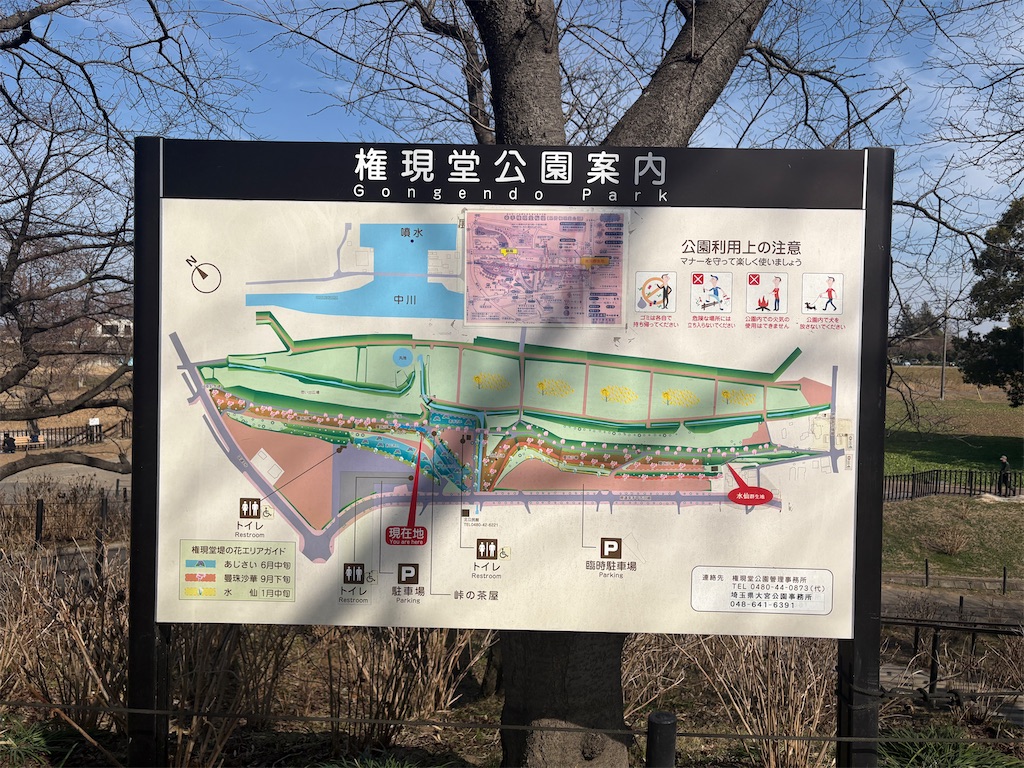 f:id:hide-n64:20260214143312j:image