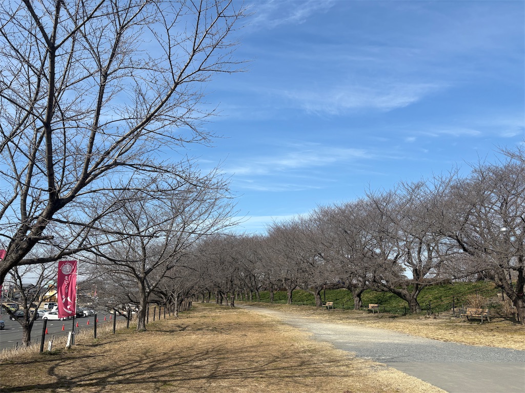 f:id:hide-n64:20260214143321j:image
