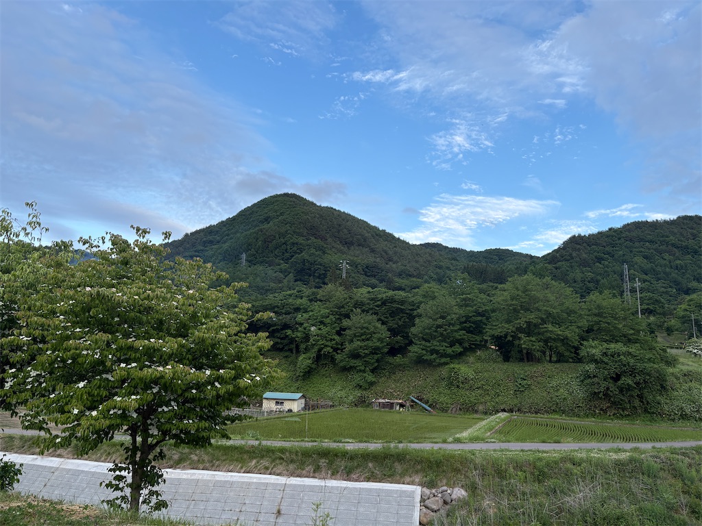 f:id:hide-n64:20260606050915j:image