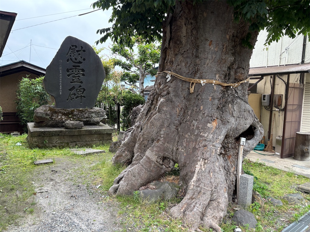 f:id:hide-n64:20260607093635j:image