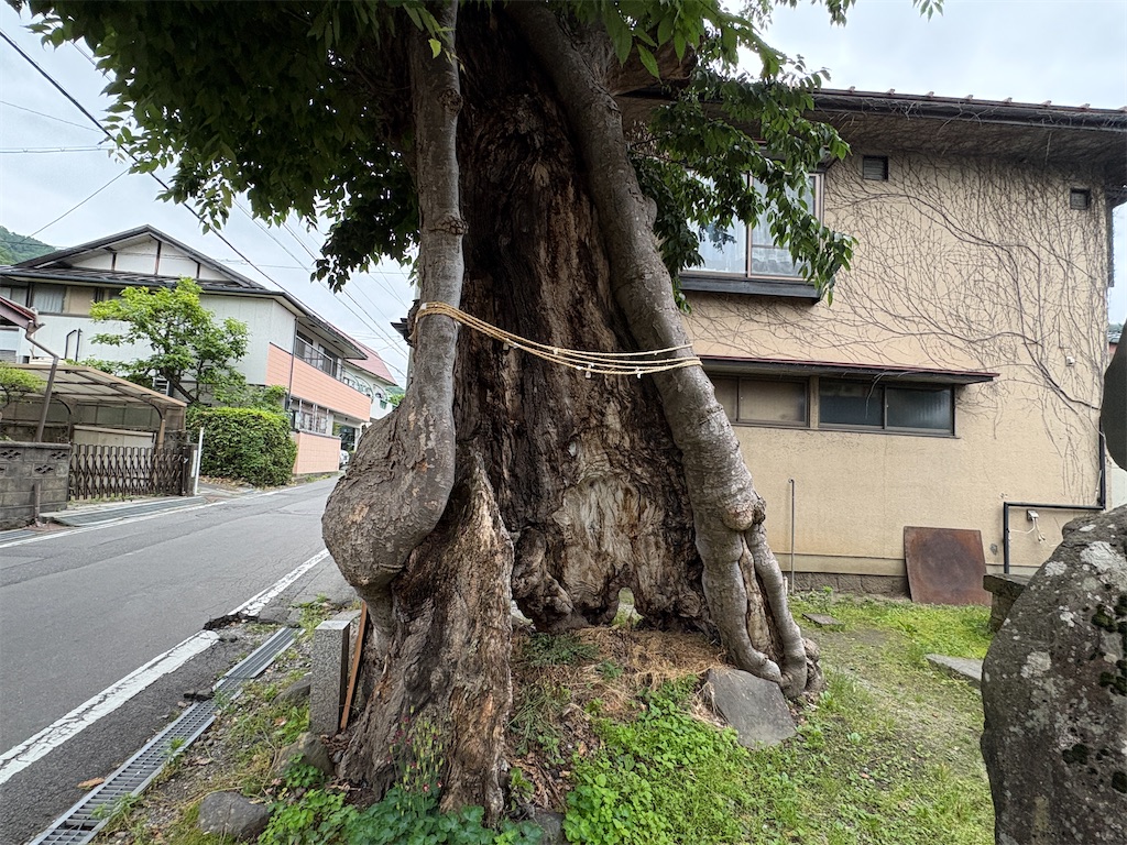f:id:hide-n64:20260607093800j:image