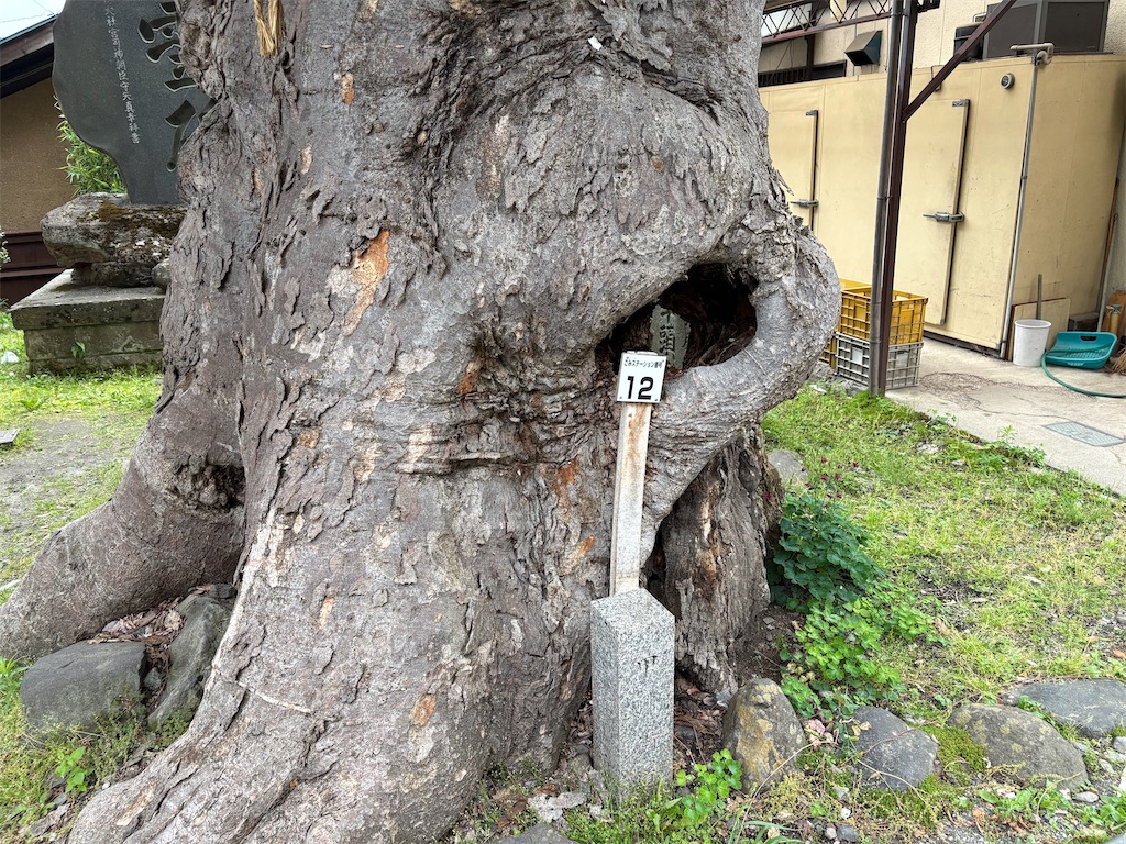 f:id:hide-n64:20260607093815j:image