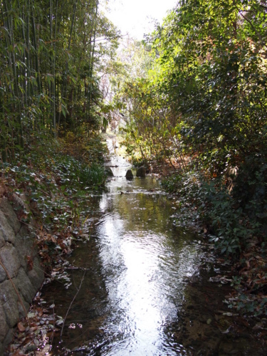 小川（昆陽池公園）