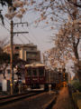 [風景][電車]