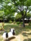 20120528155535