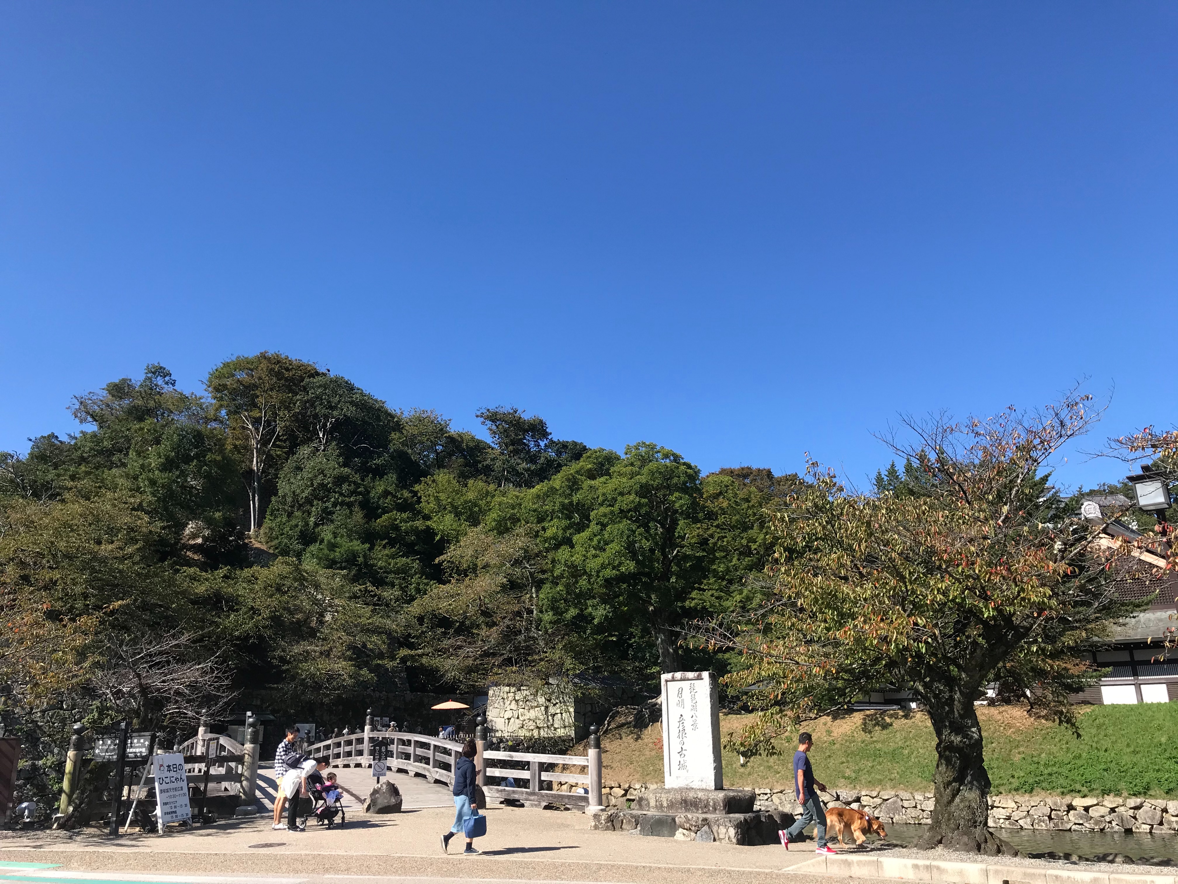 f:id:hide0406:20191014171724j:image f:id:hide0406:20191014171724j:image