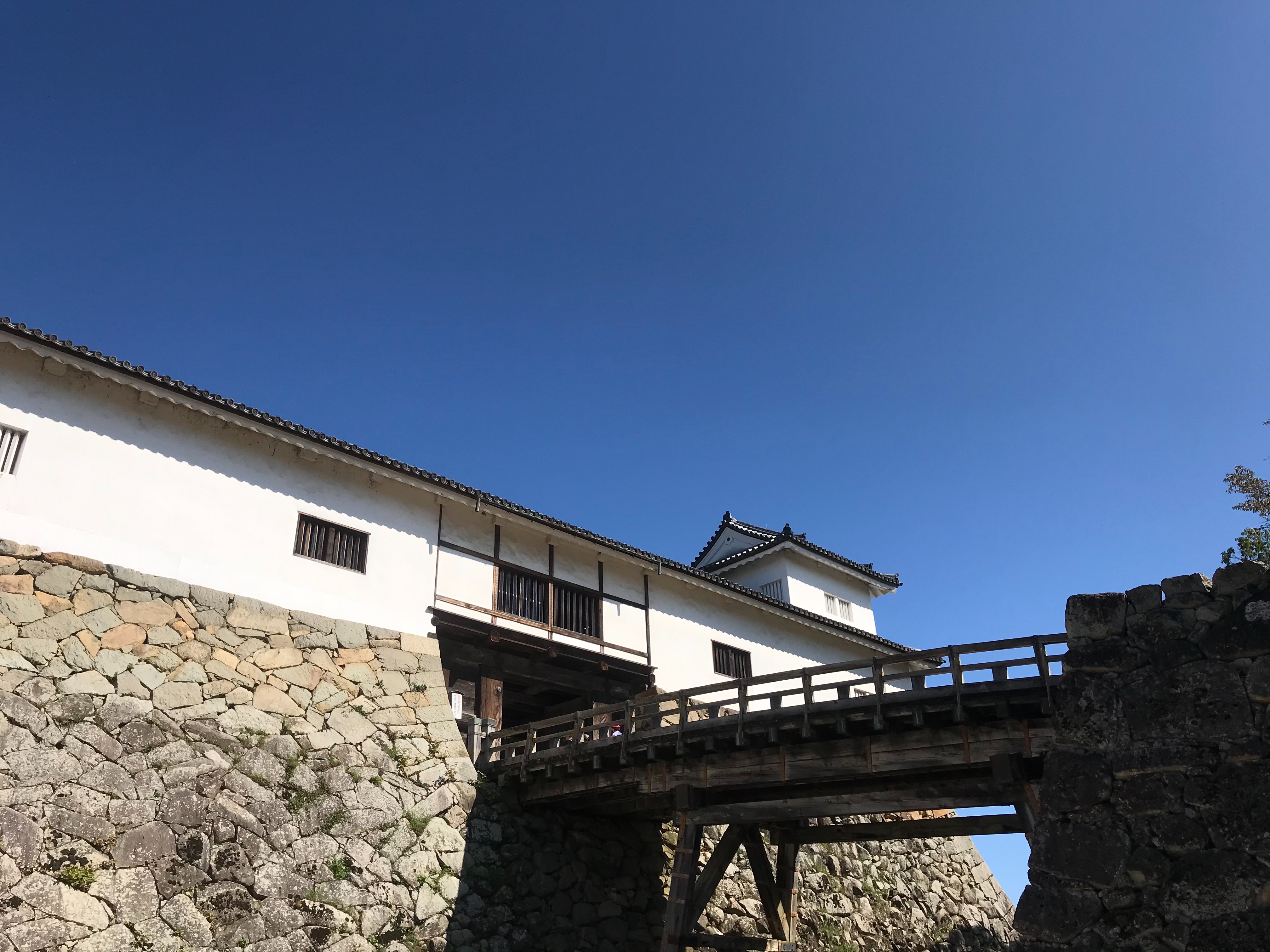 f:id:hide0406:20191014172044j:image f:id:hide0406:20191014172044j:image