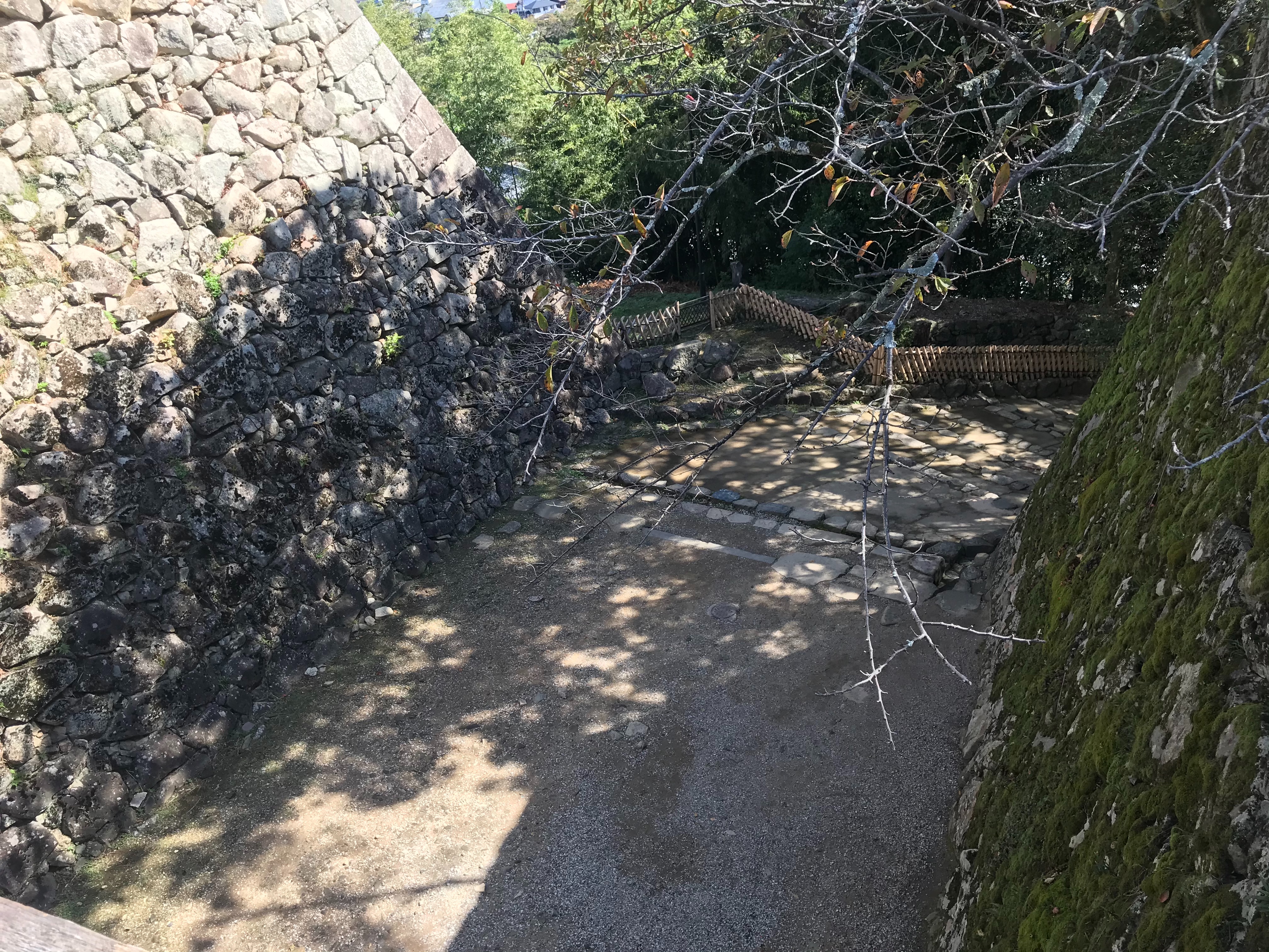 f:id:hide0406:20191014172105j:image f:id:hide0406:20191014172105j:image