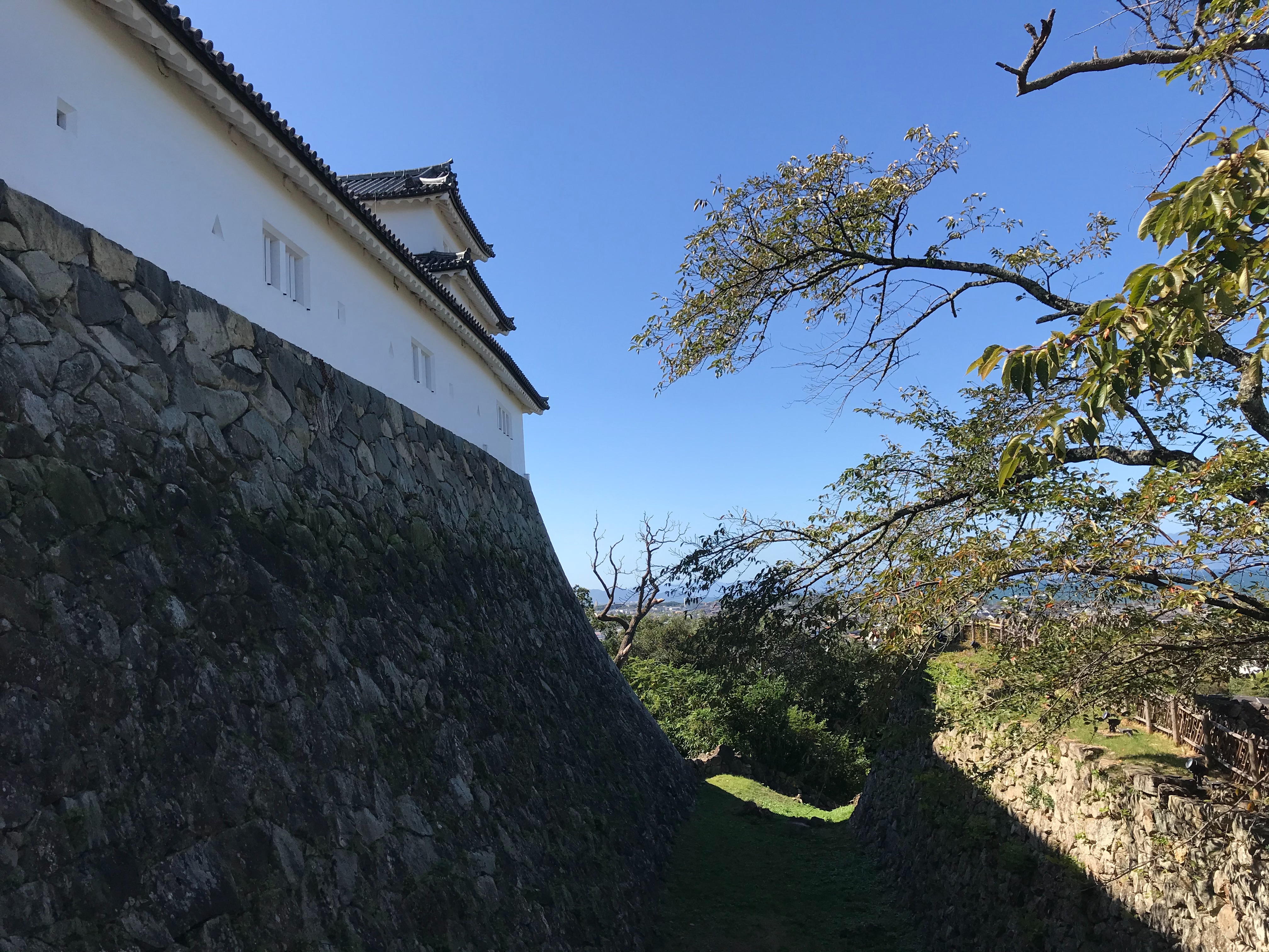 f:id:hide0406:20191014172559j:image f:id:hide0406:20191014172559j:image