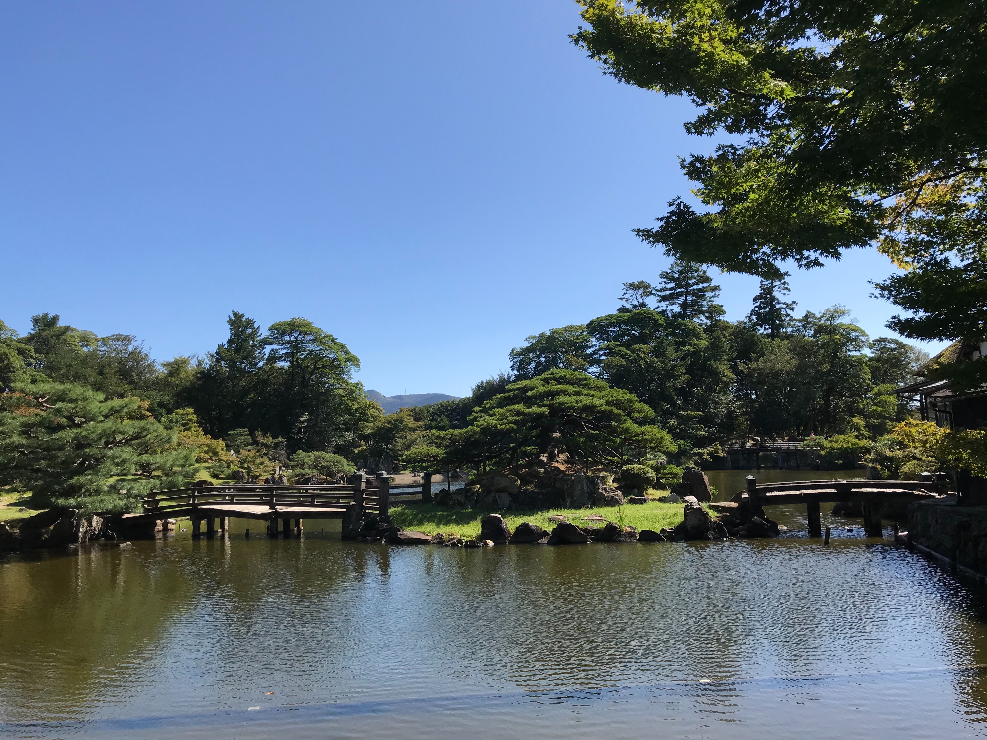 f:id:hide0406:20191014181401j:image f:id:hide0406:20191014181401j:image