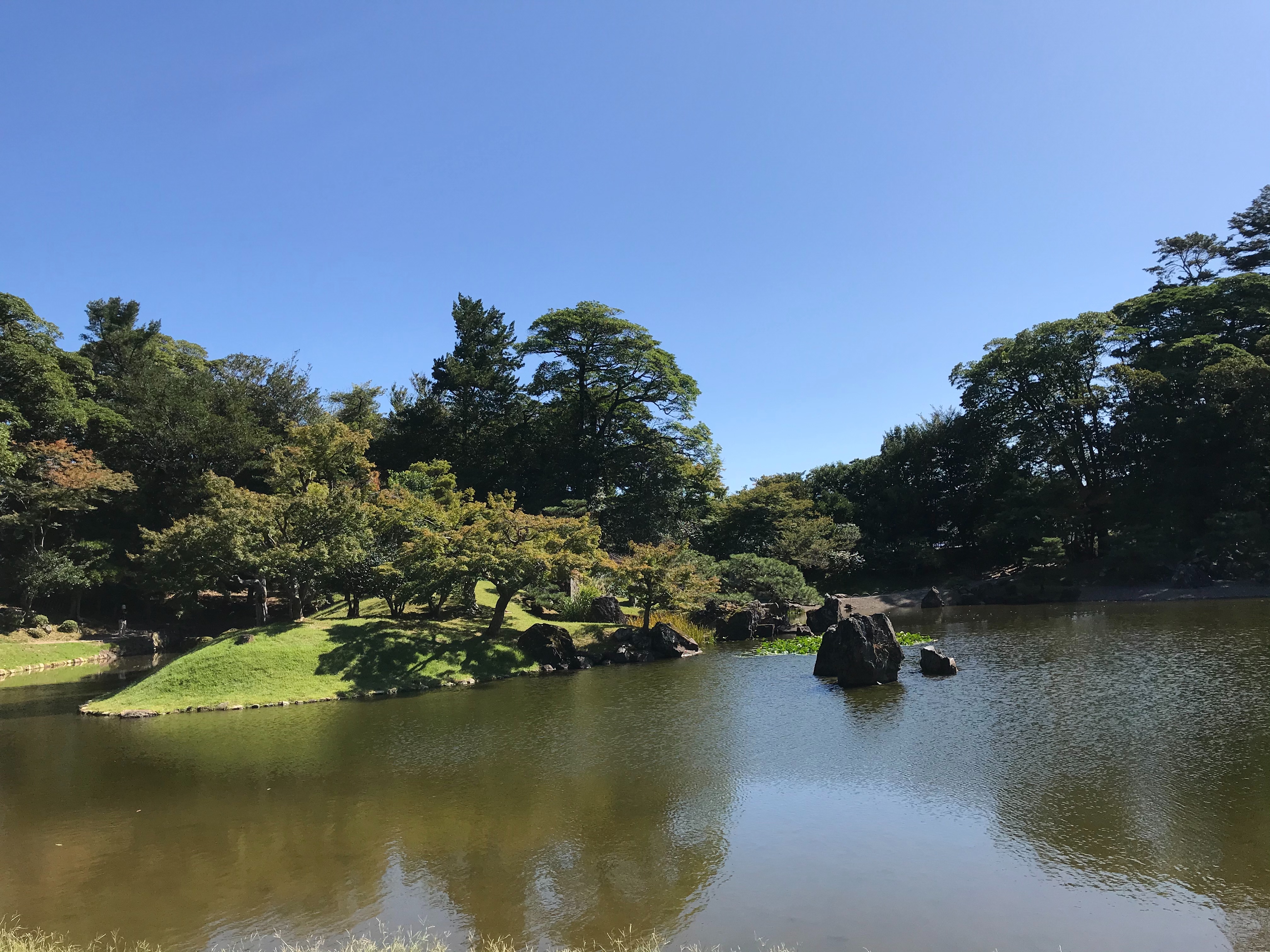 f:id:hide0406:20191014181412j:image f:id:hide0406:20191014181412j:image