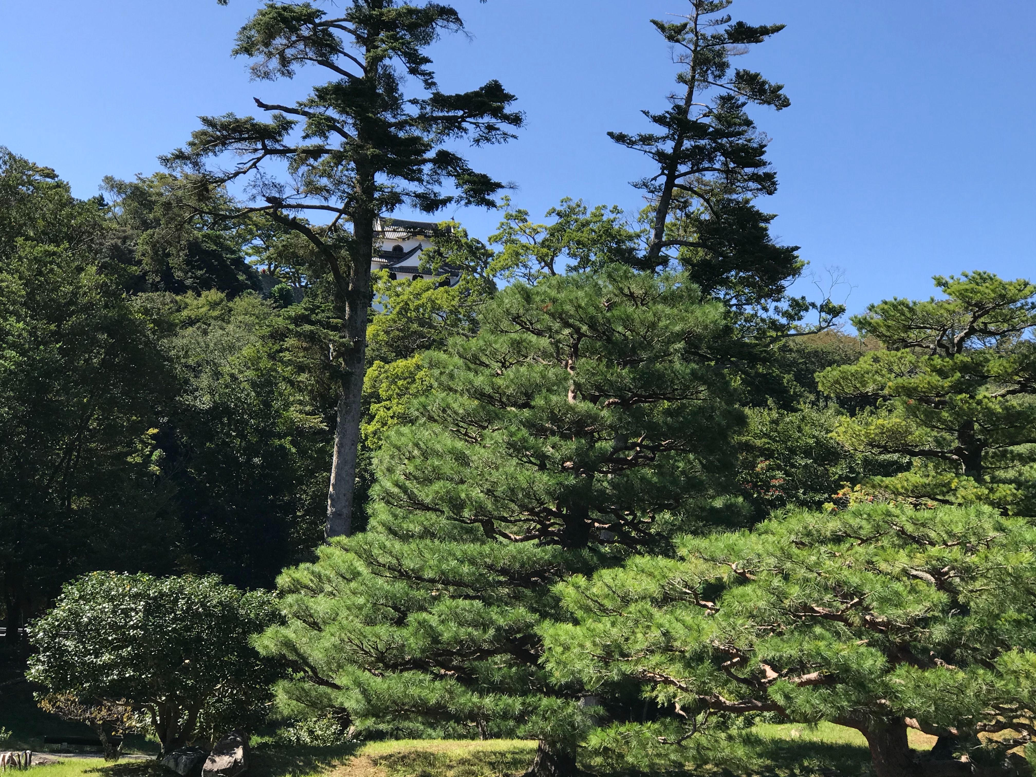 f:id:hide0406:20191014181422j:image f:id:hide0406:20191014181422j:image
