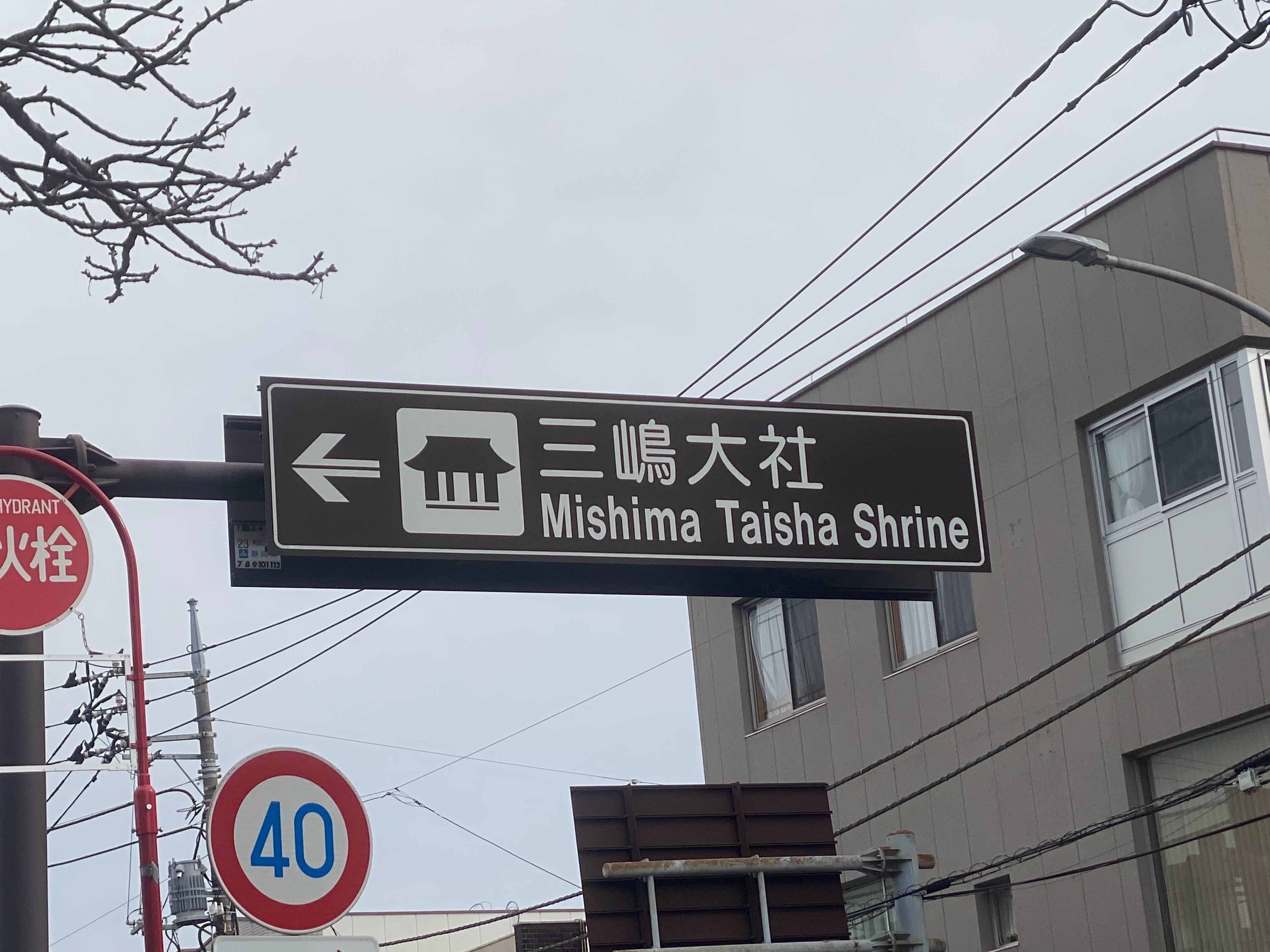 f:id:hide0406:20210111154754j:image