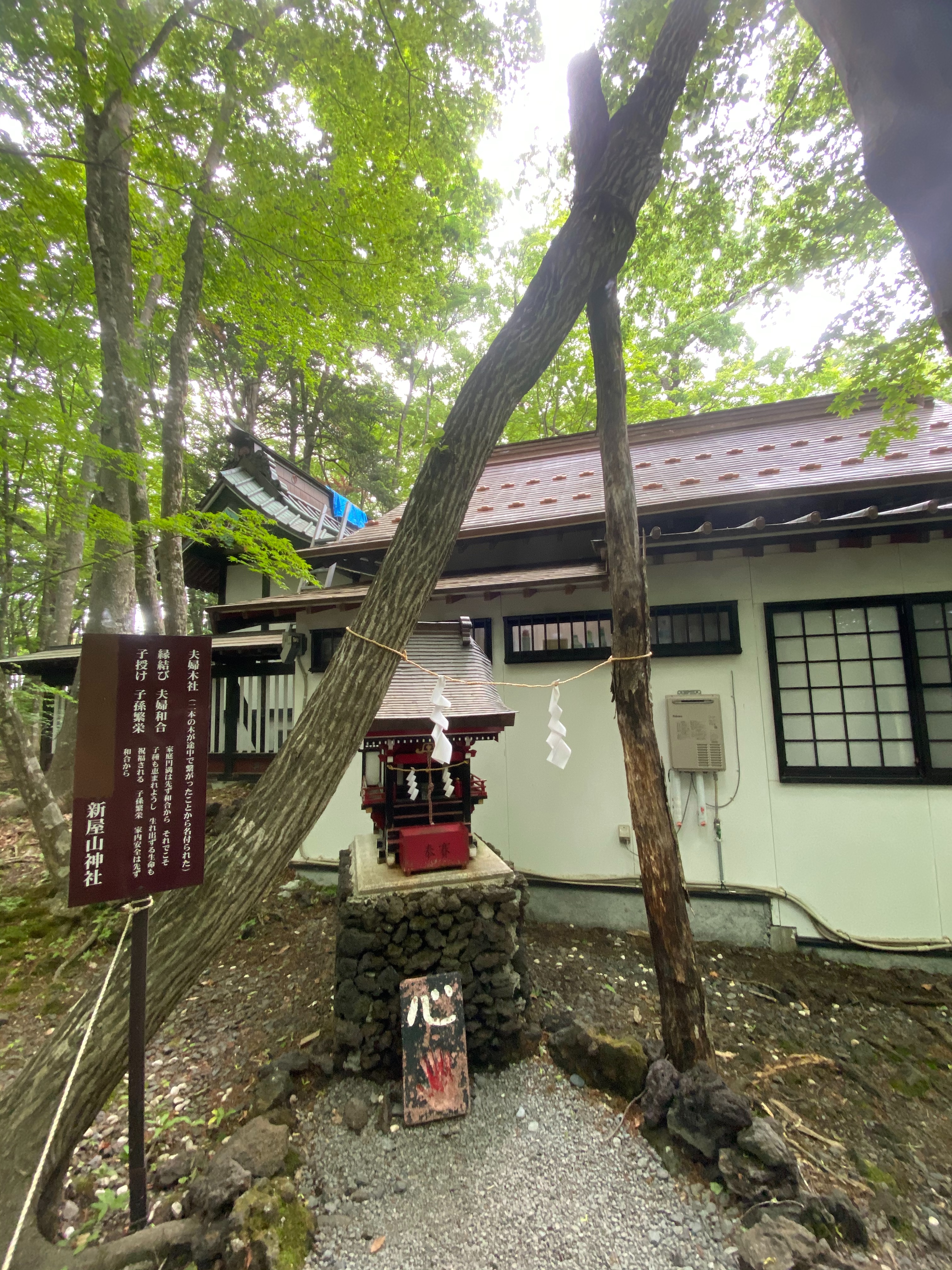 f:id:hide0406:20210524215545j:image