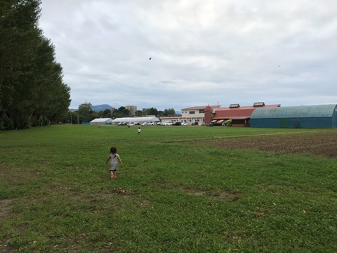 f:id:hide0620:20160913102420j:plain