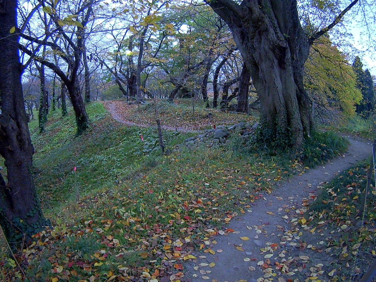 f:id:hide65:20201108215627j:plain f:id:hide65:20201108215627j:plain