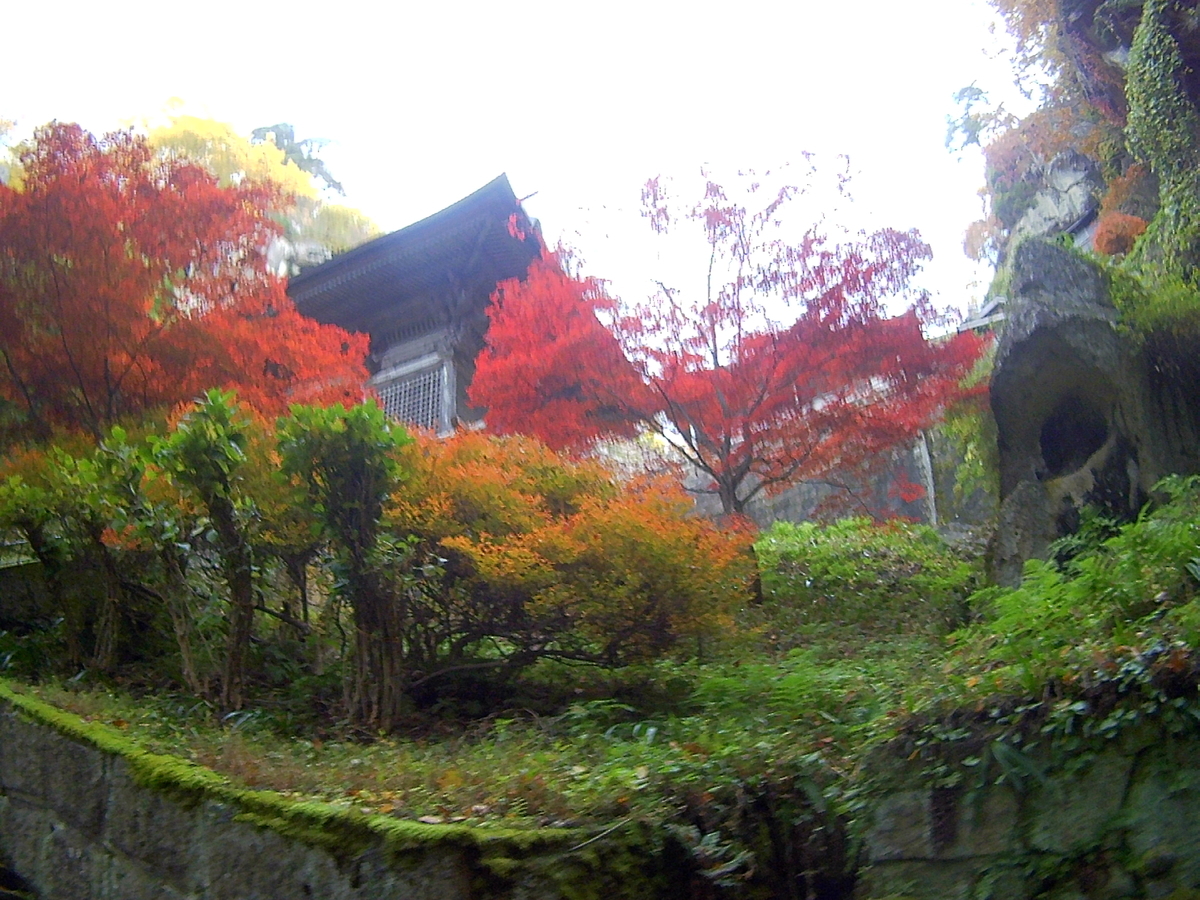 f:id:hide65:20201108215807j:plain f:id:hide65:20201108215807j:plain