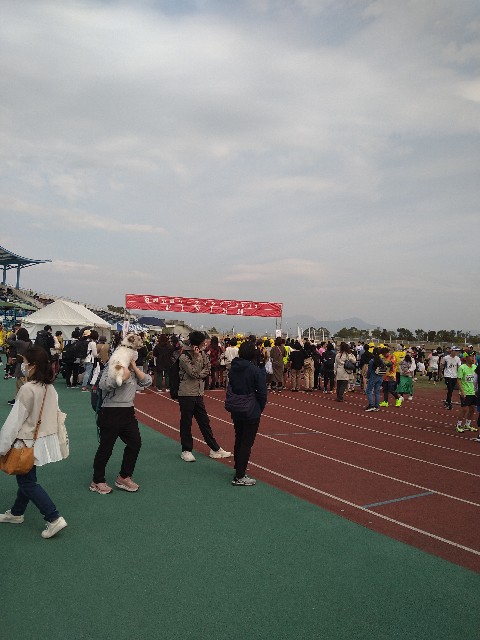 f:id:hide65:20230312153249j:image