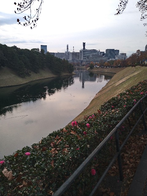 f:id:hide65:20240129145605j:image