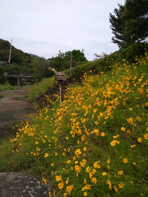 f:id:hide65:20240516121823j:image