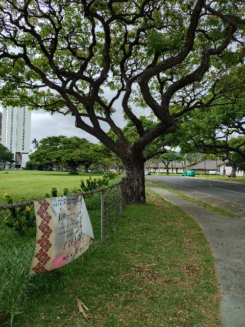 f:id:hide65:20240623073834j:image