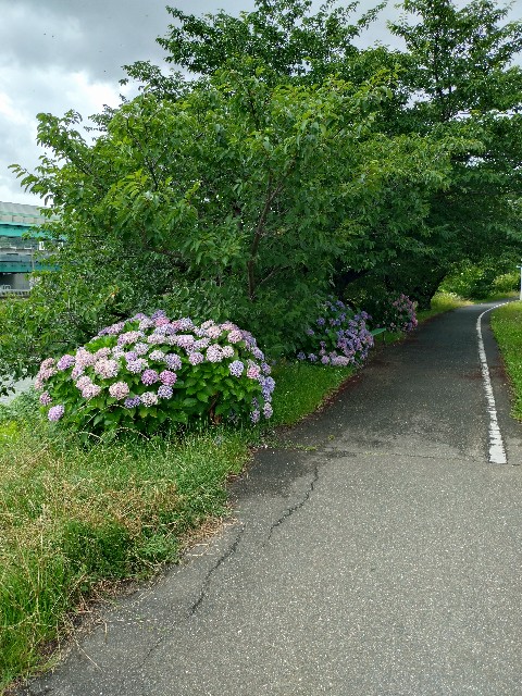 f:id:hide65:20240623183242j:image