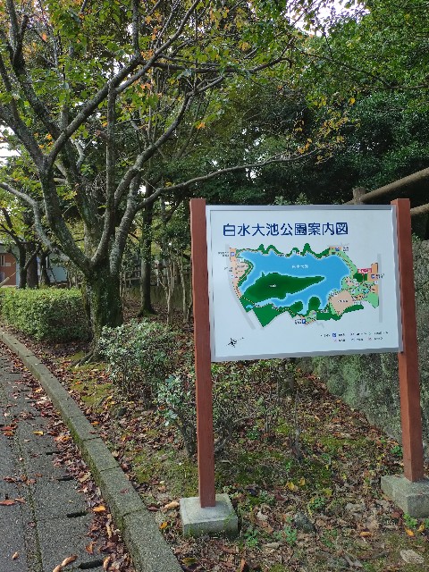 f:id:hide65:20241027172513j:image