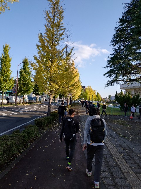 f:id:hide65:20241103180858j:image f:id:hide65:20241103180858j:image