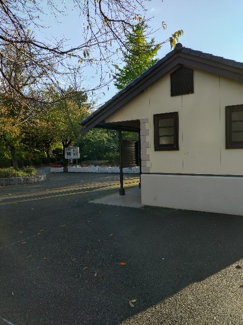 f:id:hide65:20241103180916j:image f:id:hide65:20241103180916j:image