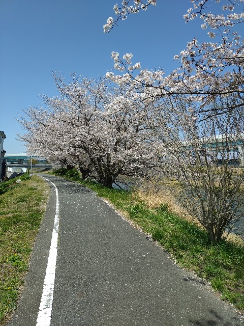 f:id:hide65:20250406211141j:image