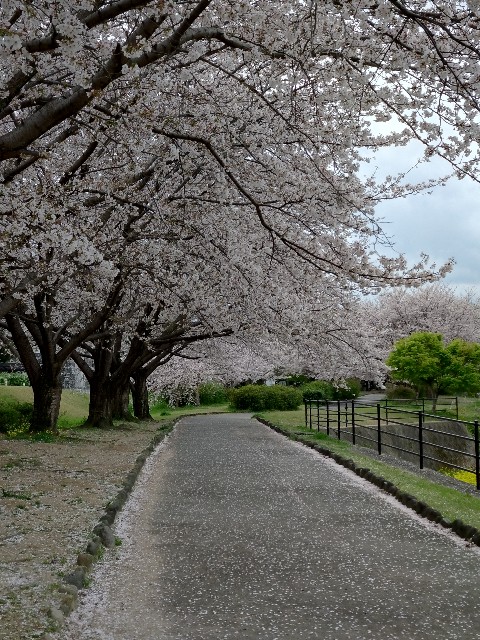 f:id:hide65:20250406211156j:image