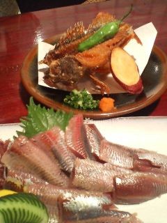 f:id:hide_chan84:20090902185829j:image