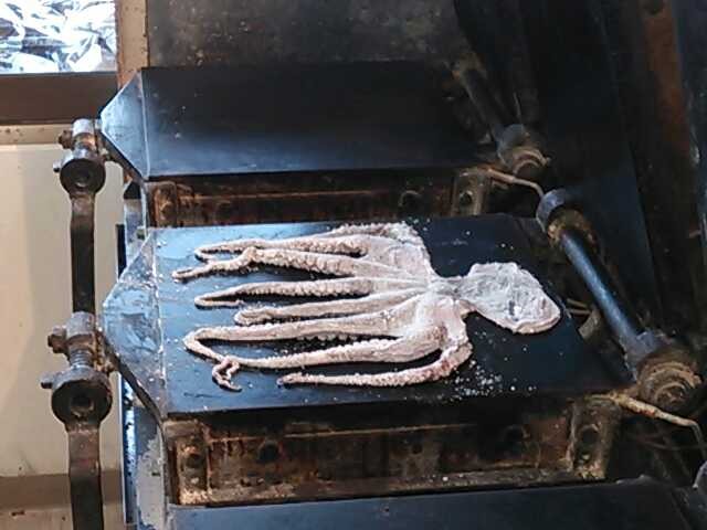 f:id:hide_chan84:20130211022910j:image f:id:hide_chan84:20130211022910j:image