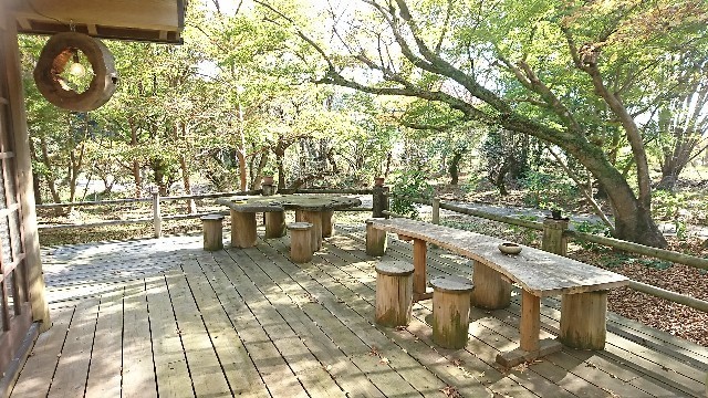 f:id:hide_chan84:20181113075823j:image f:id:hide_chan84:20181113075823j:image