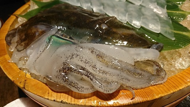 f:id:hide_chan84:20181130045428j:image