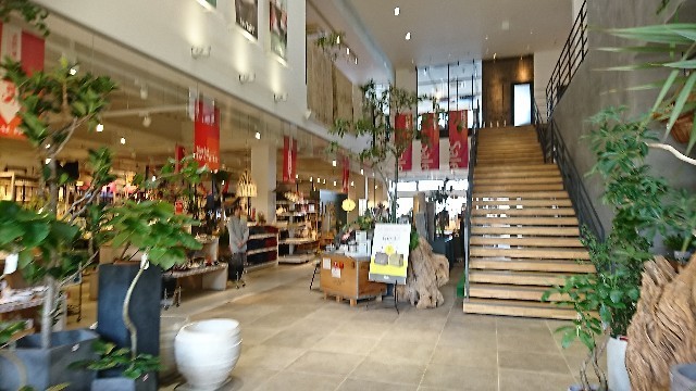 f:id:hide_chan84:20190203053818j:image