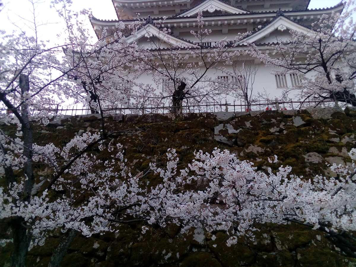 f:id:hide_kichi:20190405143556j:plain f:id:hide_kichi:20190405143556j:plain