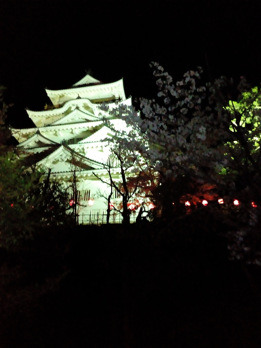 f:id:hide_kichi:20190411155616j:plain f:id:hide_kichi:20190411155616j:plain