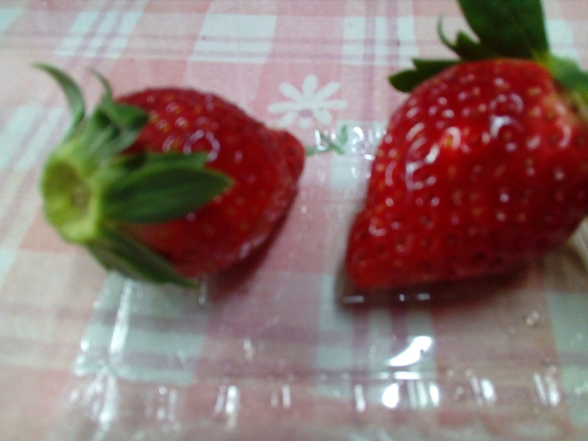 f:id:hide_kichi:20200111084919j:plain