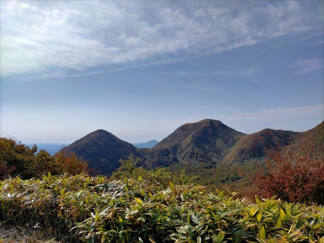 f:id:hide_kichi:20201111134347j:plain