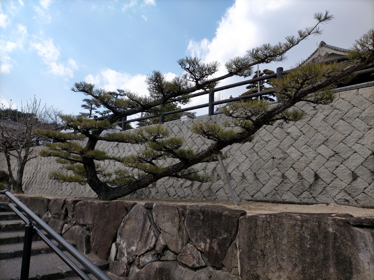 f:id:hide_kichi:20220306190648j:plain