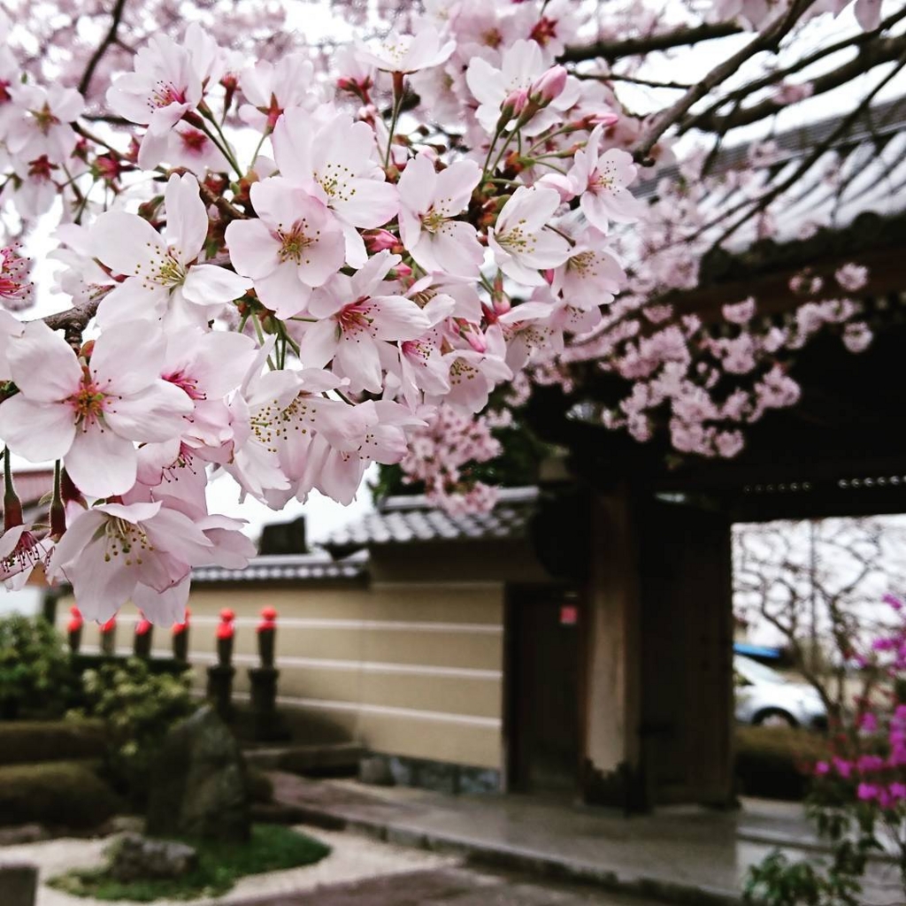 f:id:hideack:20170408230310j:image:w640